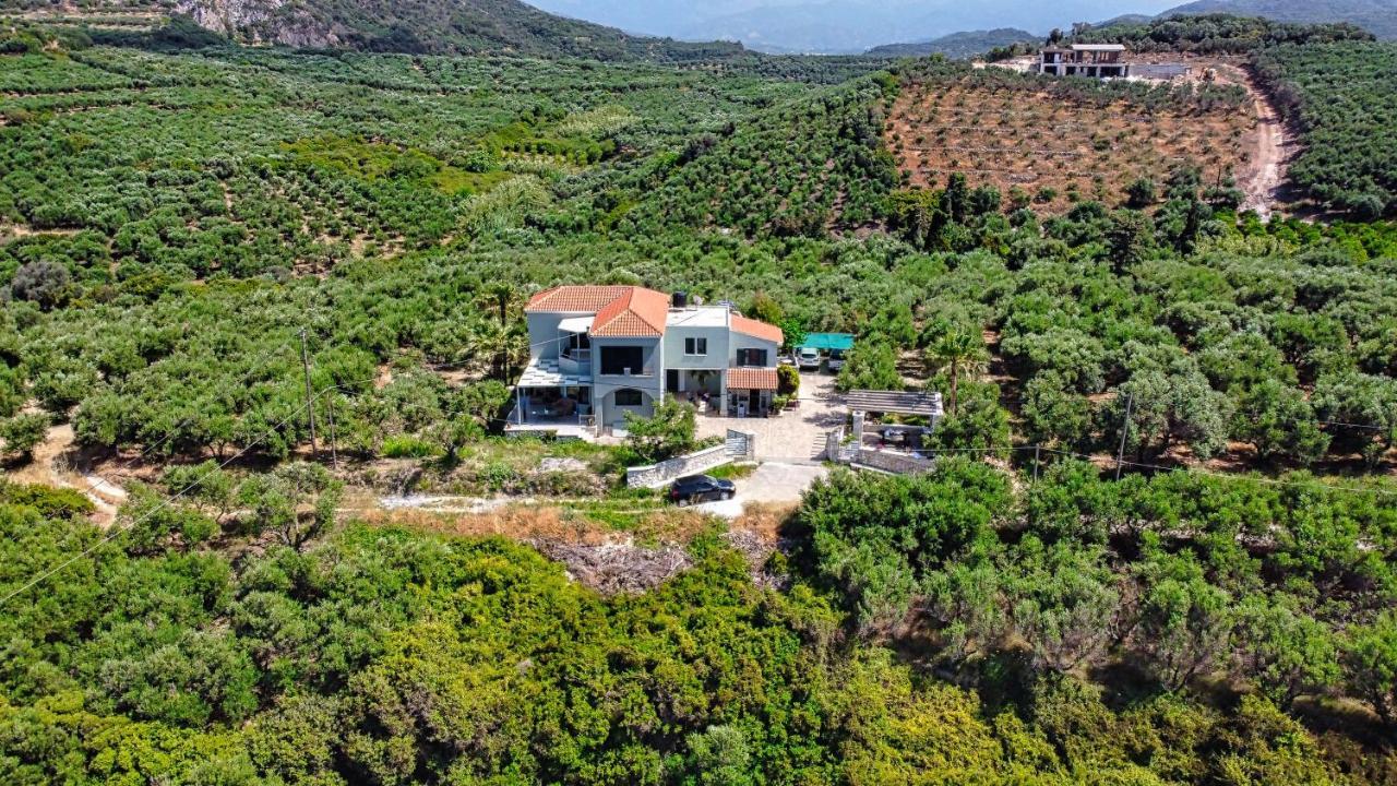 Venizelos Studios Platanés Dış mekan fotoğraf