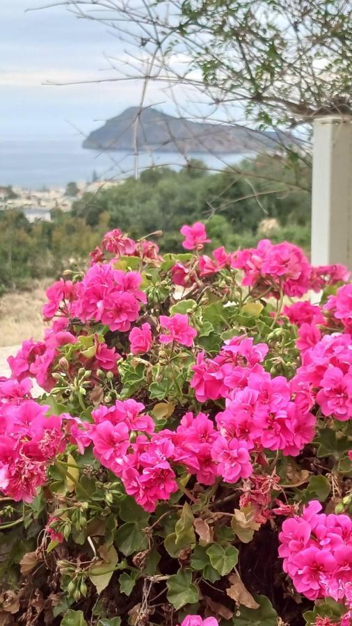 Venizelos Studios Platanés Dış mekan fotoğraf